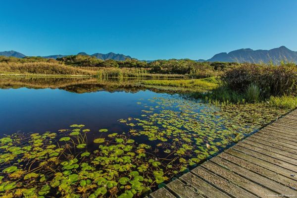 The Manor House at Fancourt (George)